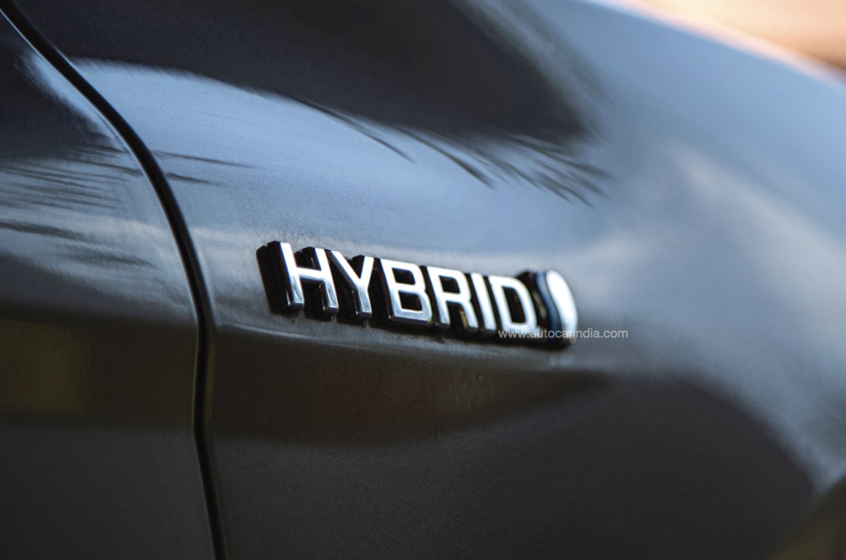 The Gold Standard - Image 2